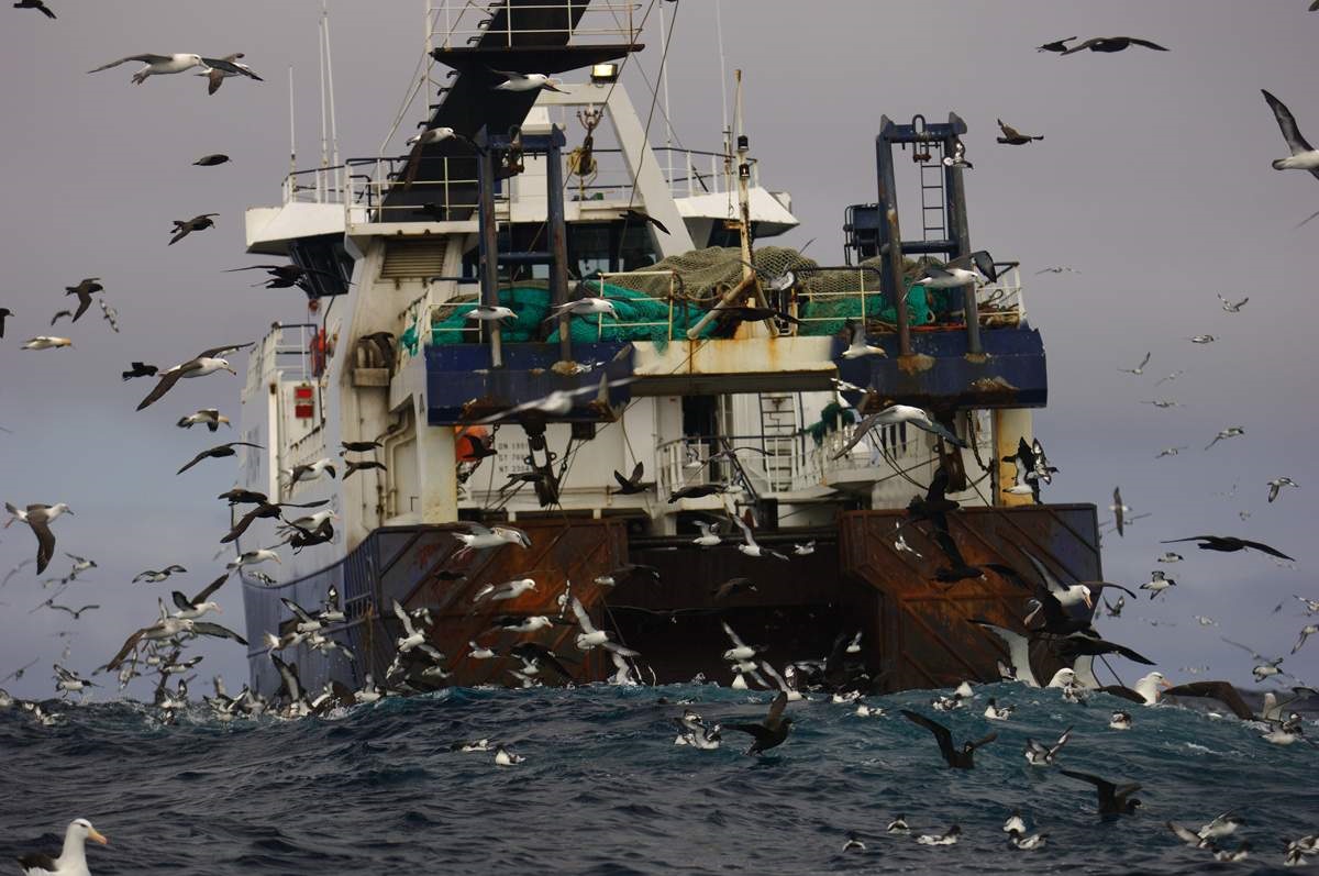 Namibia. A Seabird Success Story for Conservation · Fishing Industry ...