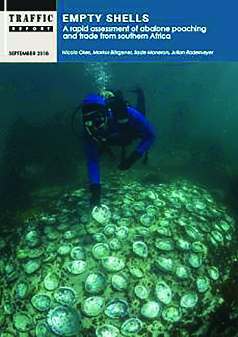 Abalone Poaching. Report Highlights Illegal Trade · Fishing Industry