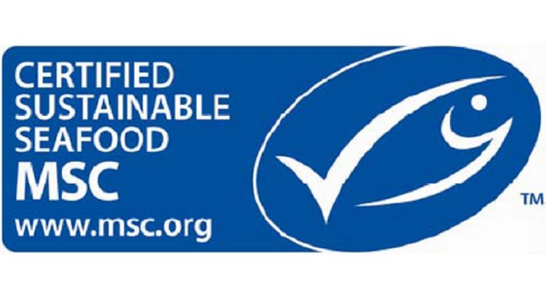 new-version-msc-fisheries-standard-fishing-industry-news-and