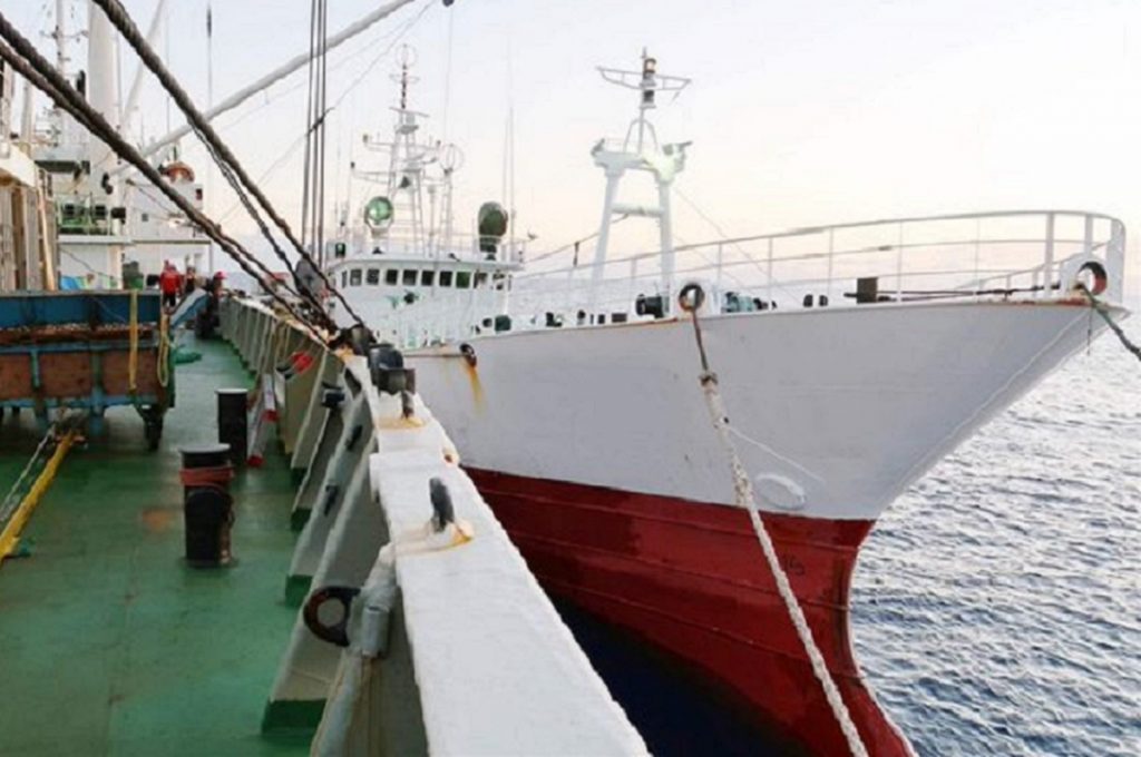 Mozambique Strengthens Commitment to Combat IUU Fishing · Fishing ...