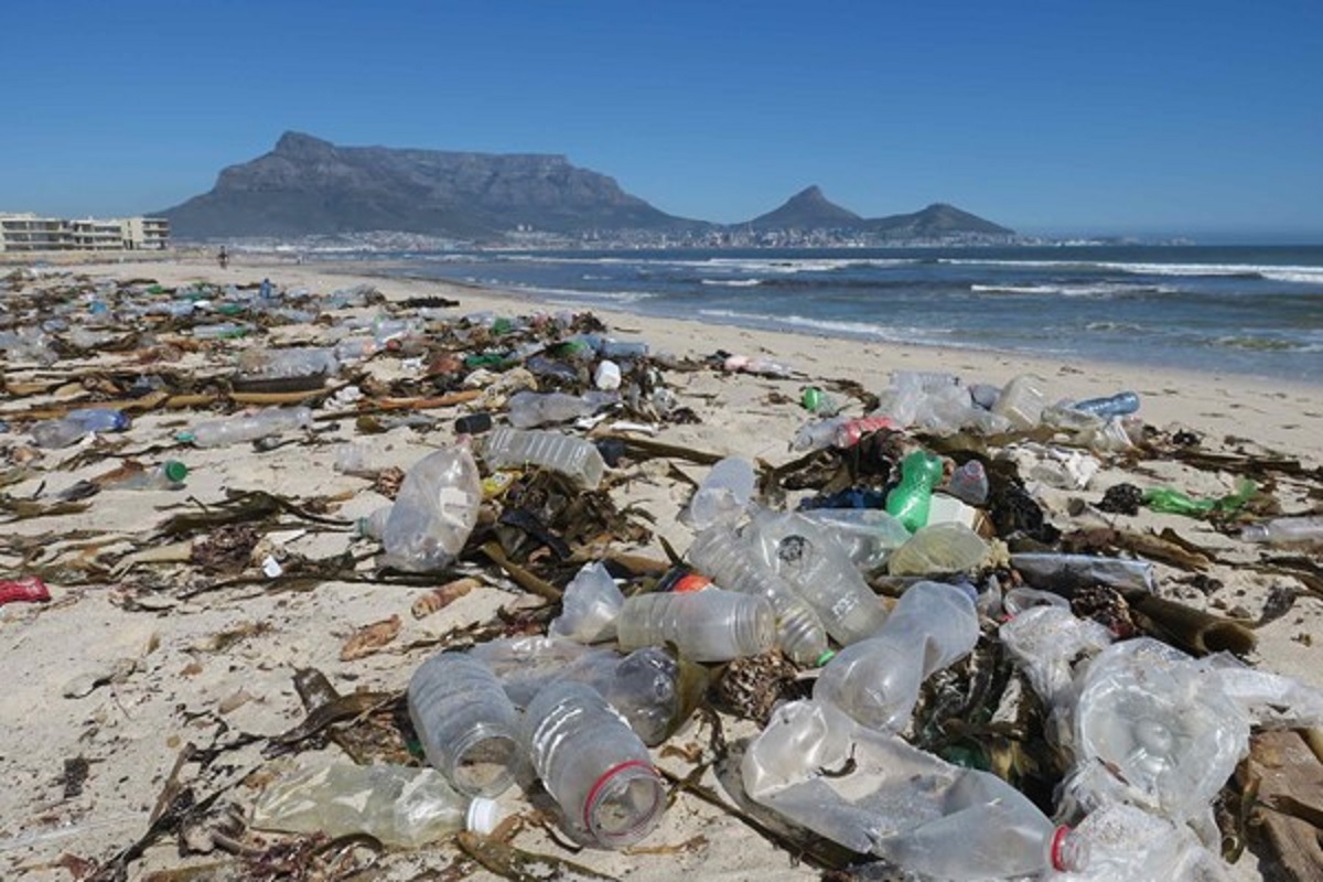 New Study Highlights The Environmental Plague Of Plastic Bottles On ...